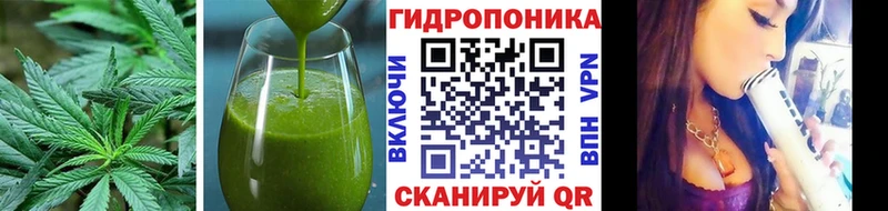 Canna-Cookies марихуана  даркнет сайт  Сарапул 