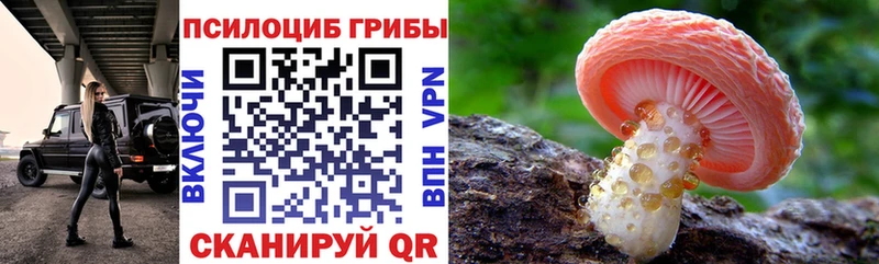 хочу   Сарапул  Псилоцибиновые грибы GOLDEN TEACHER 